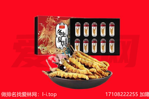 拜城县回收虫草.jpg